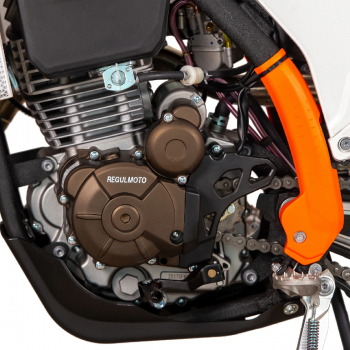 RegulMoto Holeshot 300 PRO