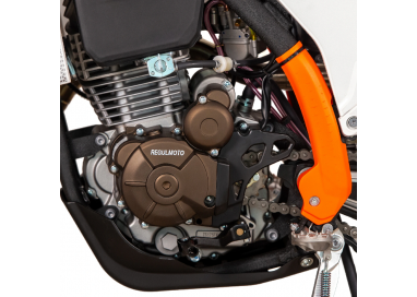 RegulMoto Holeshot 300 PRO