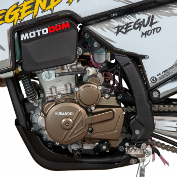 RegulMoto LEGEND PRO