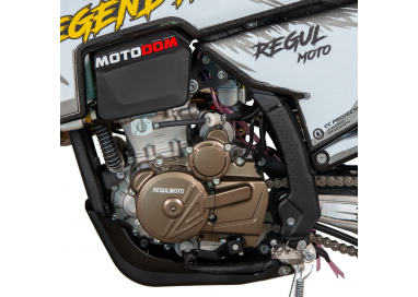RegulMoto LEGEND PRO